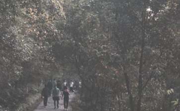 环保文明登山倡议书