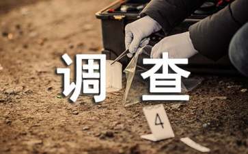 职场调查报告
