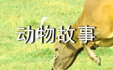 短篇童话搞笑动物故事