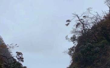 峨眉山游玩攻略