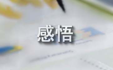 暑期社会实践活动感悟