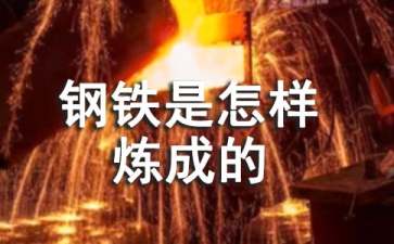 《钢铁是怎样炼成的》读后感(集合15篇)