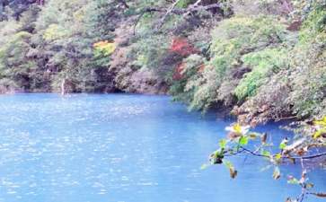 九寨沟导游词集合15篇