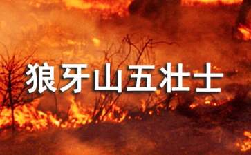 《狼牙山五壮士》读后感