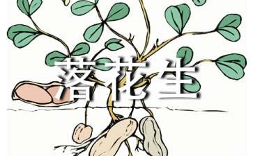 落花生读后感8篇