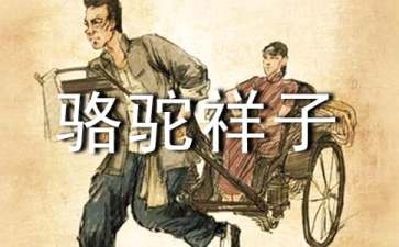 骆驼祥子1年级小学生的读书笔记