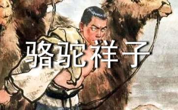 关于骆驼祥子的读书笔记（精选14篇）