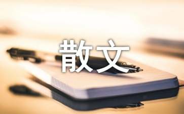 家有老小孩散文