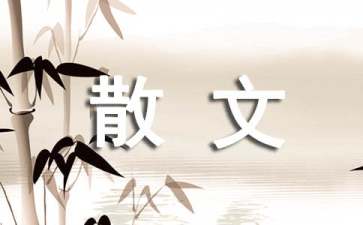 老小孩的散文