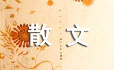 午睡和记忆力的关系短文散文