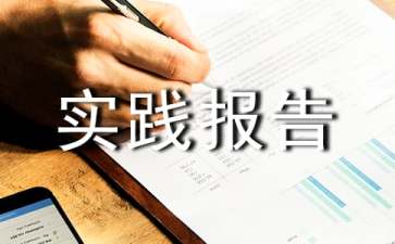 高中生社会实践报告范文