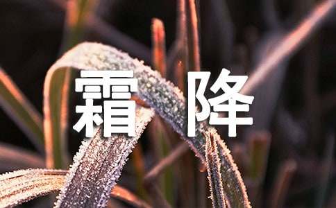 霜降节气祝福语15篇