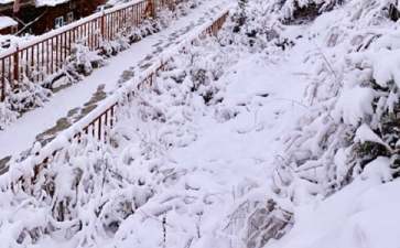 下雪天开车要注意什么