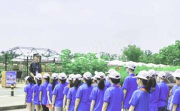小学生夏令营游戏推荐