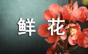 鲜花朵朵开小班科学教案