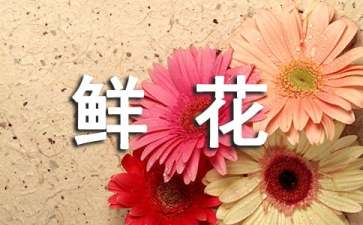 鲜花的保鲜方法大全
