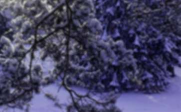 小雪花飘飘，托班音乐观摩课幼儿园教案