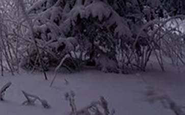 小雪节气祝福语（精选60句）