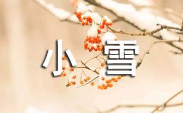 小雪花飘飘幼儿教案