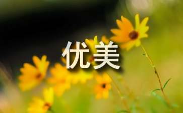 最暖心的优美情话