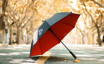 小班教案《雨伞家族》