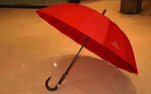 大班语言动物的雨伞教案