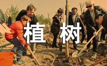 植树问题的公式有哪些