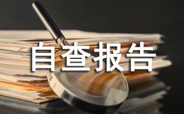 内控制度自查报告