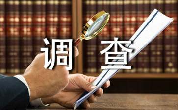 旅游景点主题调查报告