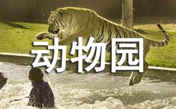 长隆动物园游玩攻略
