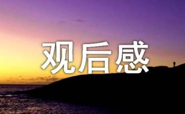 《小孩不笨》观后感