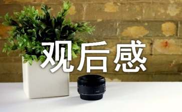 穹顶之下观后感