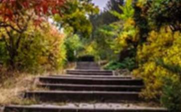别墅花园的5大风水禁忌
