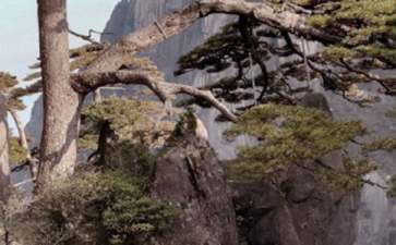 去黄山旅游注意事项