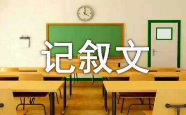 仰卧起坐比赛记叙文