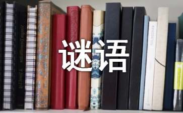 猜谜语的方法