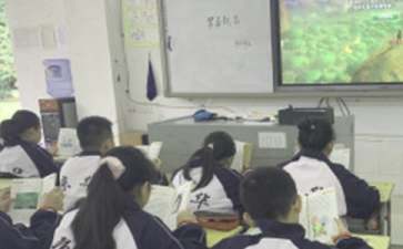 孩子上课注意力不集中是什么原因导致的