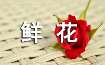 怎么手工制作鲜花胸花教程