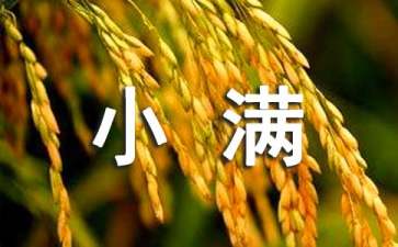 小满节气吃什么祛湿