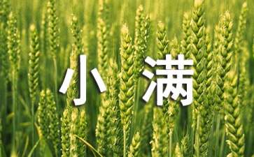 小满节气养生粥有哪些