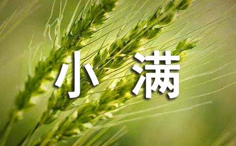 小满养生要注意什么