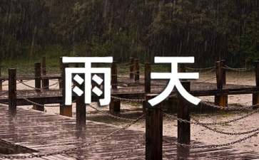 夏季阴雨天钓鲶鱼的技巧有哪些
