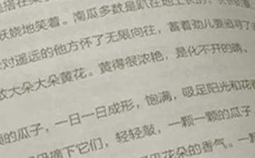 语文课代表竞选演讲稿