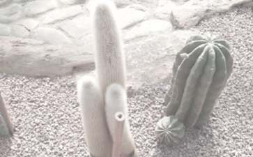 郑州植物园游玩攻略