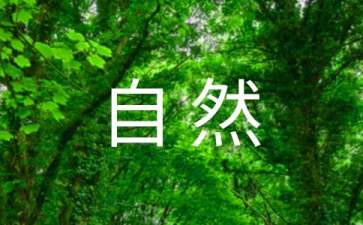 大自然地板和圣象地板哪个好