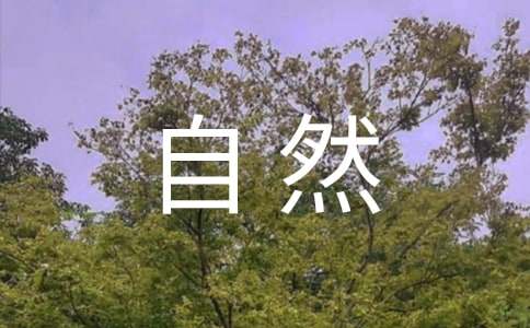 大自然三层实木地板怎么样
