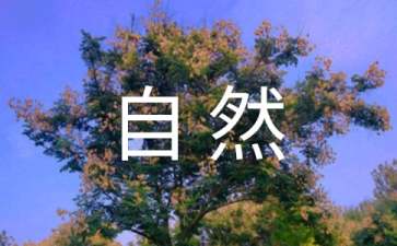 河南旅游十大自然景点推荐