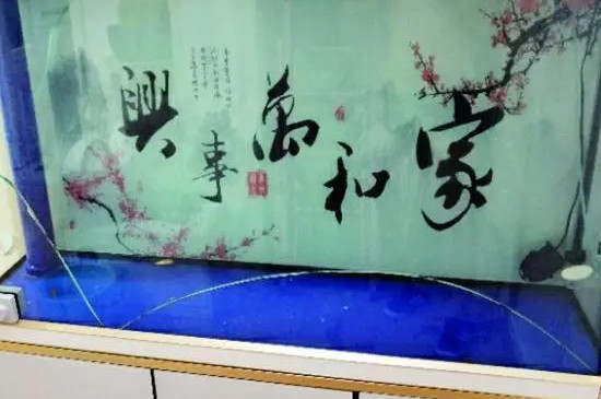 鱼缸爆缸前有什么征兆