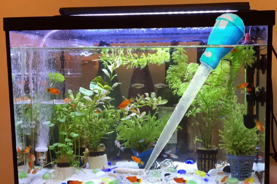 鱼缸怎样保持弱酸性水