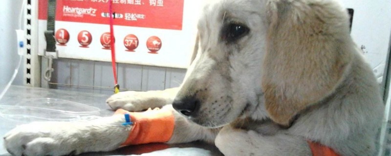 细小潜伏期能测出来吗